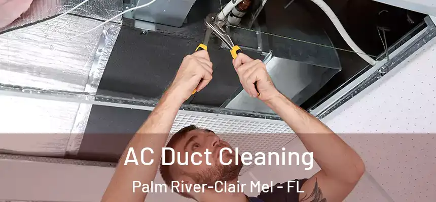 AC Duct Cleaning Palm River-Clair Mel - FL