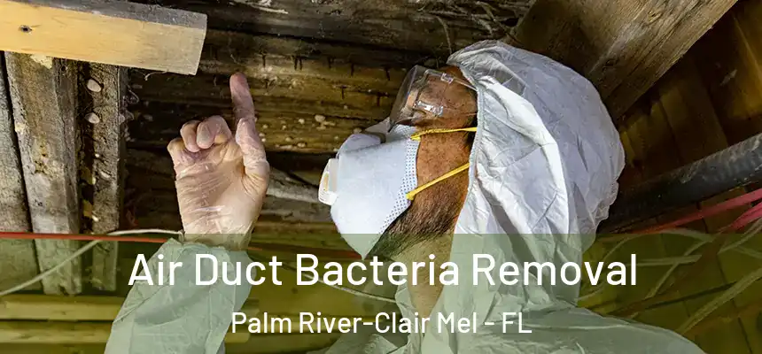 Air Duct Bacteria Removal Palm River-Clair Mel - FL