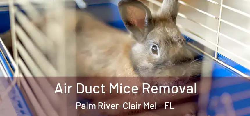 Air Duct Mice Removal Palm River-Clair Mel - FL