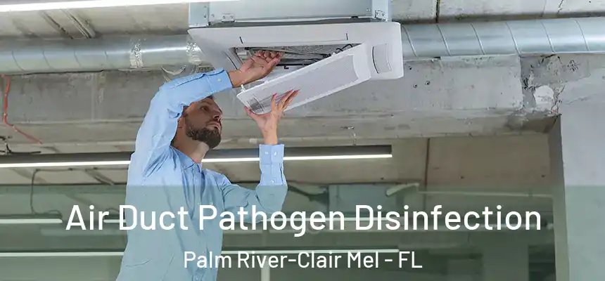 Air Duct Pathogen Disinfection Palm River-Clair Mel - FL