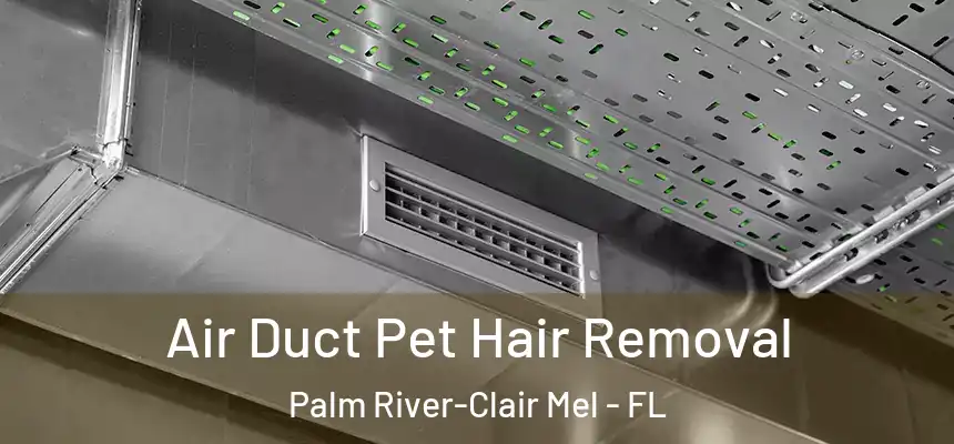 Air Duct Pet Hair Removal Palm River-Clair Mel - FL