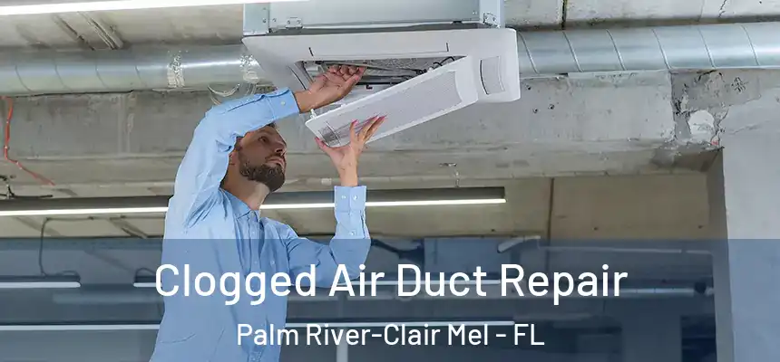 Clogged Air Duct Repair Palm River-Clair Mel - FL