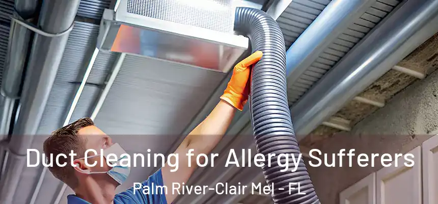 Duct Cleaning for Allergy Sufferers Palm River-Clair Mel - FL