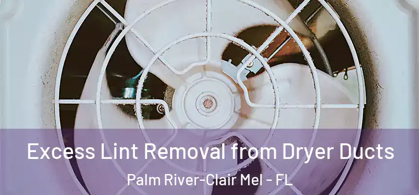 Excess Lint Removal from Dryer Ducts Palm River-Clair Mel - FL