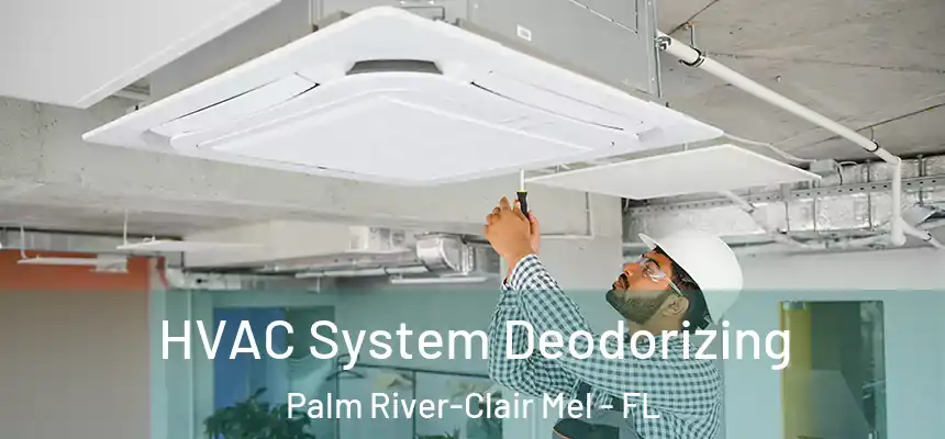 HVAC System Deodorizing Palm River-Clair Mel - FL