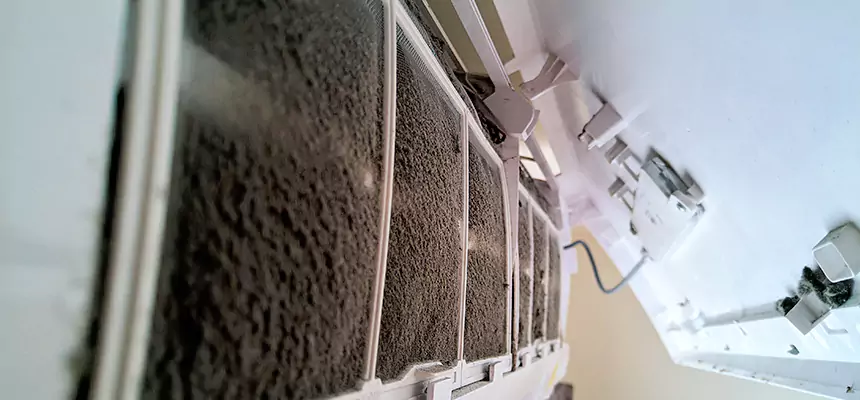 Preventive Air Duct Bacteria Removal in Palm River-Clair Mel