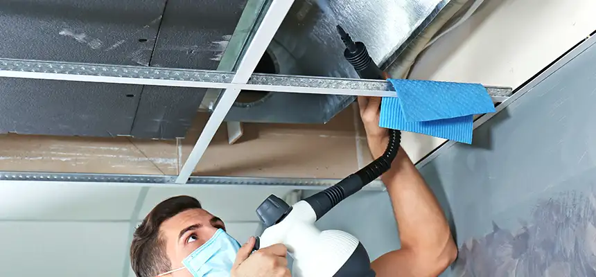 Our Air Duct Rodent Removal Services in Palm River-Clair Mel, FL