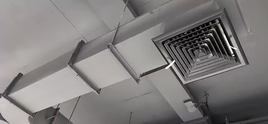 Restorative Allergy Relief Vent Cleaning – Coil, Blower & Housing Detail in Palm River-Clair Mel