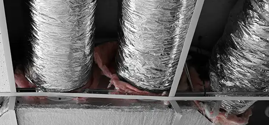 Scalable Commercial Multi‑Unit Dryer Vent Camera Inspection in Palm River-Clair Mel, FL