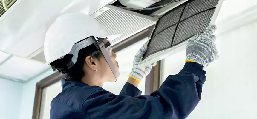 Our Mold & Mildew Removal from Air Ducts Services in Palm River-Clair Mel, FL