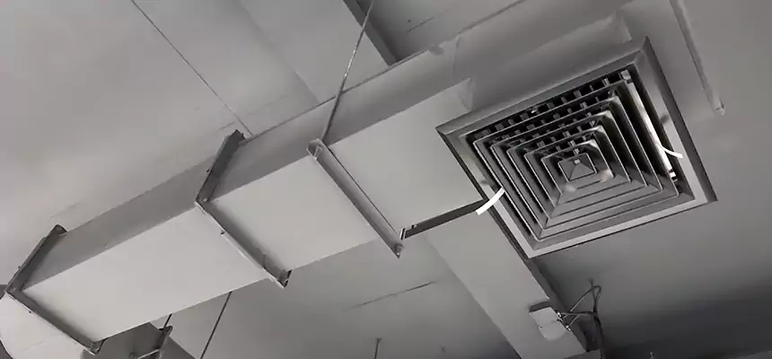 Our Pest Removal From Ducts Services in Palm River-Clair Mel, FL