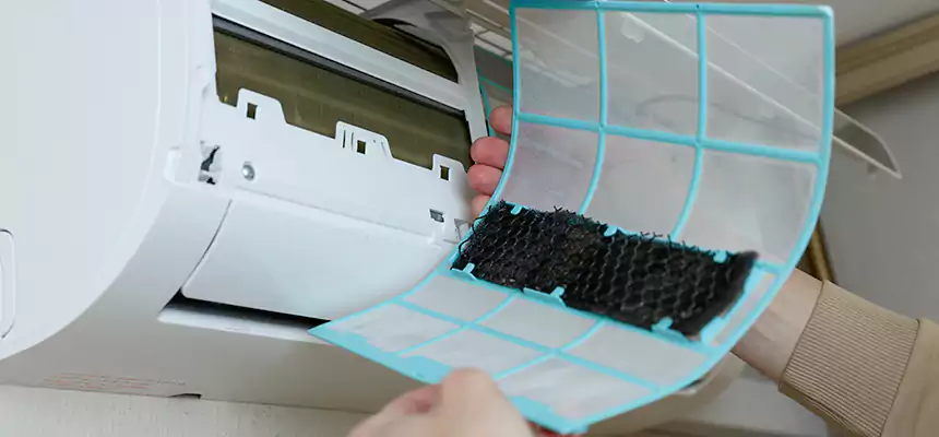 Gentle Ductwork Odor-Control Pet Dander Duct Cleaning in Palm River-Clair Mel, FL