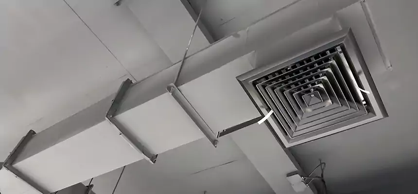 Our Rodent Droppings In Vents Services in Palm River-Clair Mel, FL