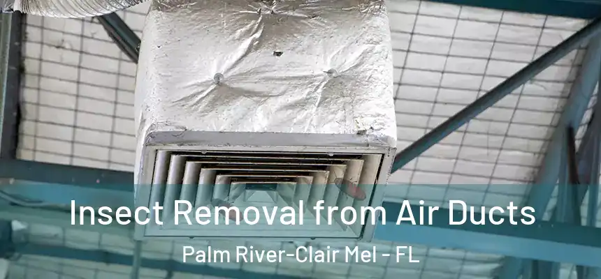 Insect Removal from Air Ducts Palm River-Clair Mel - FL