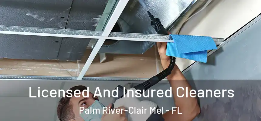 Licensed And Insured Cleaners Palm River-Clair Mel - FL