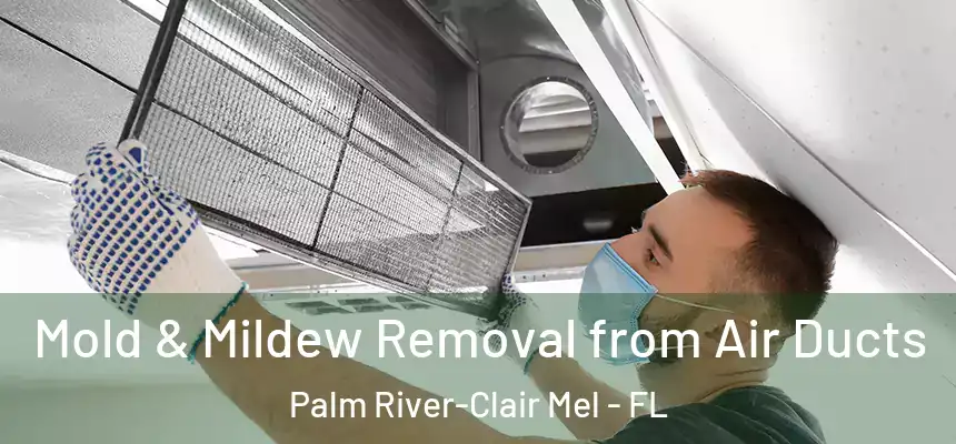 Mold & Mildew Removal from Air Ducts Palm River-Clair Mel - FL