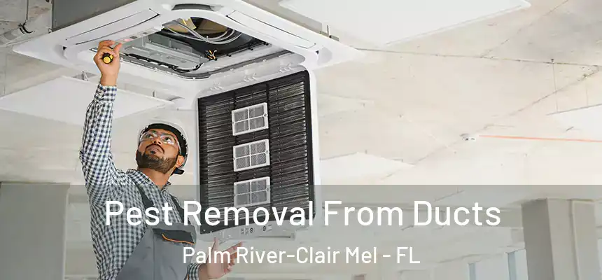Pest Removal From Ducts Palm River-Clair Mel - FL