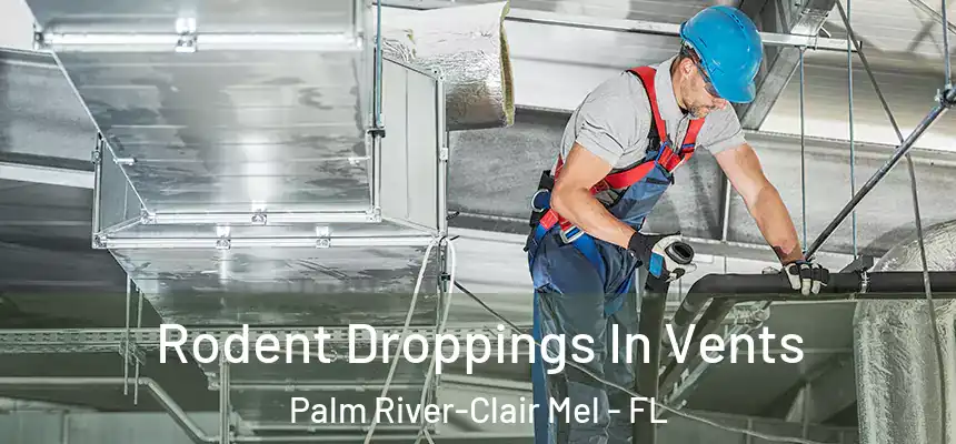 Rodent Droppings In Vents Palm River-Clair Mel - FL