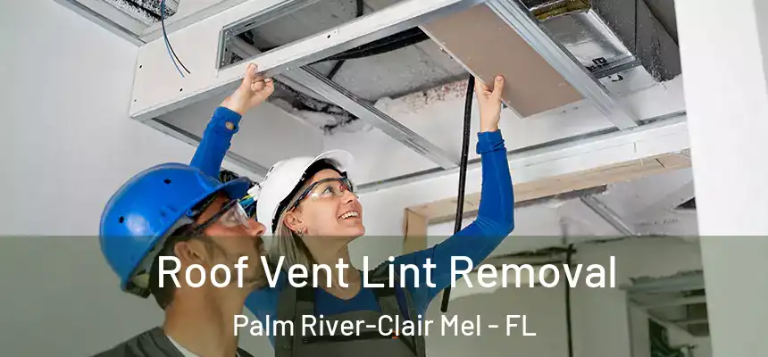Roof Vent Lint Removal Palm River-Clair Mel - FL