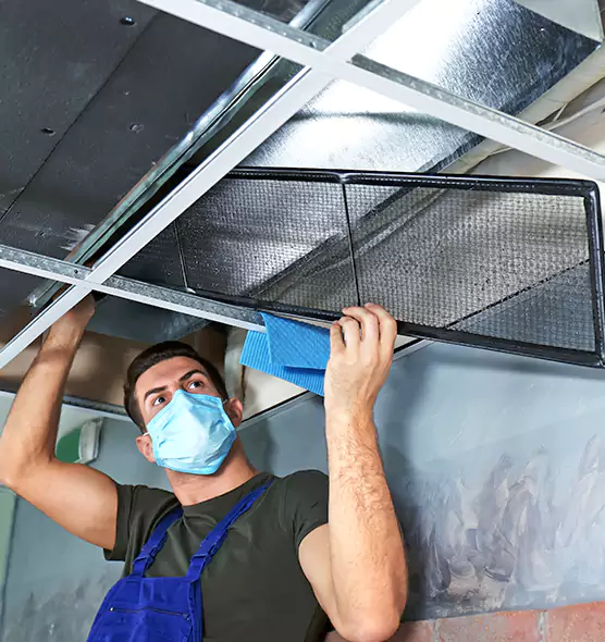 Professional Air Duct Pollen Cleaning in Palm River-Clair Mel, FL