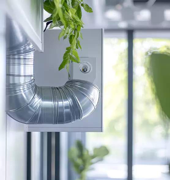 Professional Eco-Friendly Duct Cleaning Services in Palm River-Clair Mel, FL