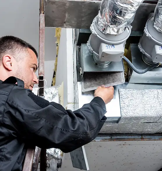 Professional Furnace Vent Cleaning in Palm River-Clair Mel, FL