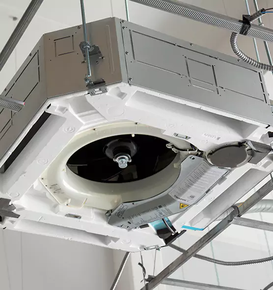 Professional Roof Vent Lint Removal Palm River-Clair Mel, FL