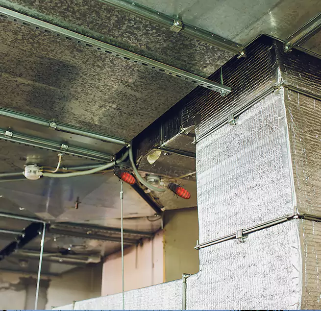 Why Homeowners & Businesses Trust Us in Palm River-Clair Mel, FL?