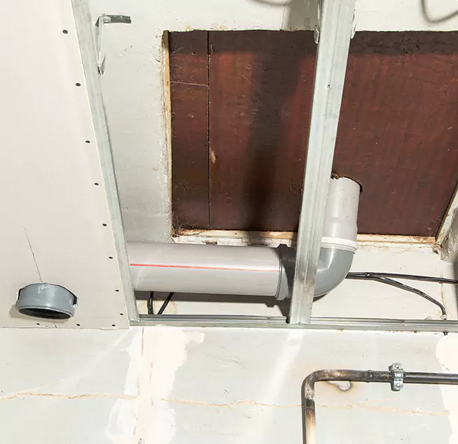 Why Homeowners & Businesses Trust Us in Palm River-Clair Mel, FL?