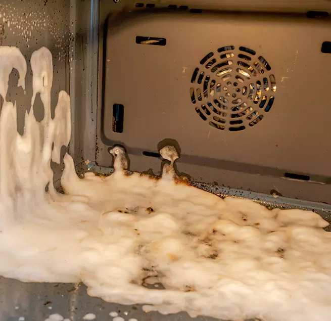 Why Homeowners & Businesses Trust Us in Palm River-Clair Mel, FL?