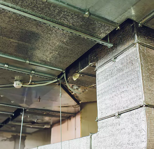 Why Homeowners & Businesses Trust Us in Palm River-Clair Mel, FL?