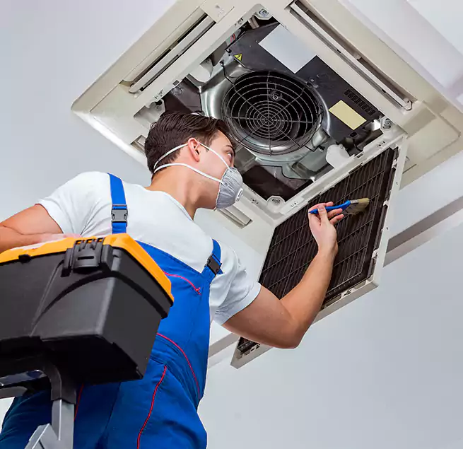 Why Homeowners & Businesses Trust Us in Palm River-Clair Mel, FL?